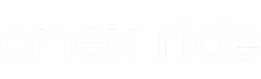 Anex logo