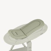 Newborn seat insert