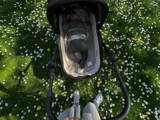 Stroller Anex