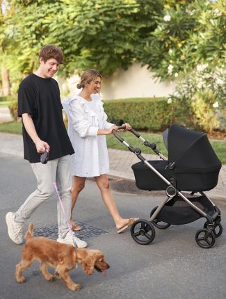 Stroller Anex IQ