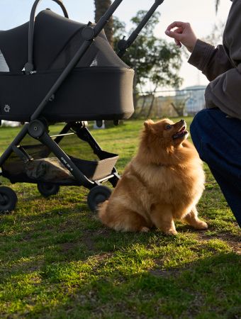 Stroller Air-Q pet carrycot
