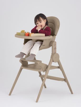 Коляска Підніжка Ozy