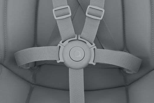 Five-point safety belts