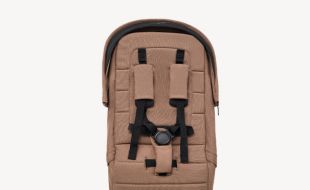 Сидіння баггі