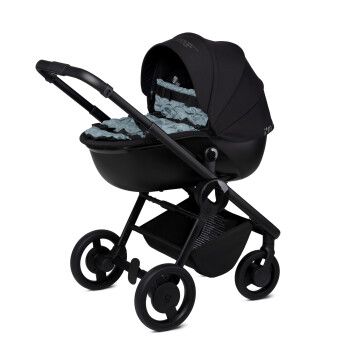 anex stroller review
