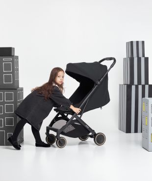 Anex Air-X²