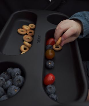 Anex Modu Wagon mainbody