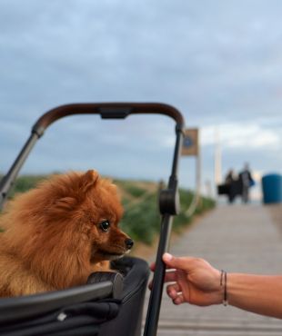 Люлька для питомцев Air-Q