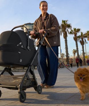 Люлька для питомцев Air-Q