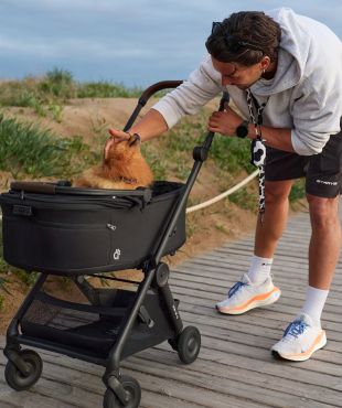 Люлька для питомцев Air-Q