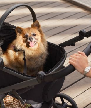 Modu pet carrycot
