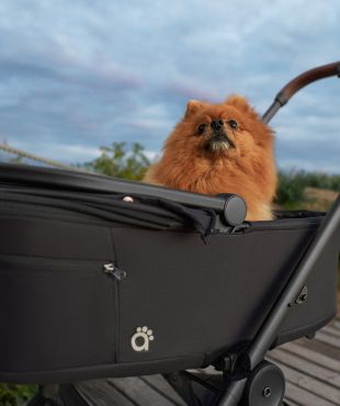 Люлька для питомцев Air-Q