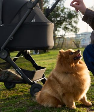 Люлька для питомцев Air-Q