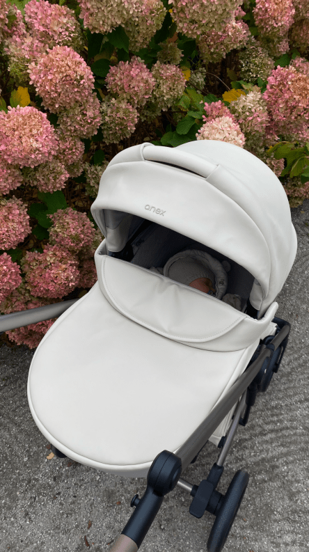 Anex Eli in real life