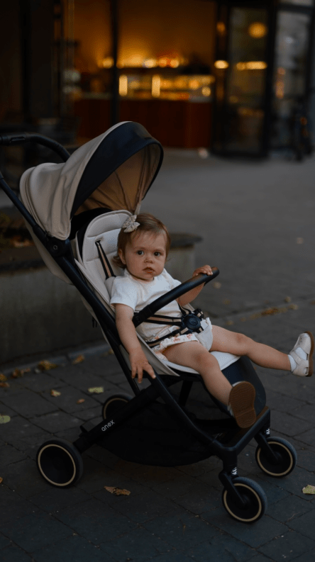 Anex Air-X² რეალურ ცხოვრებაში