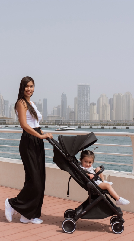 Anex Air-X in real life